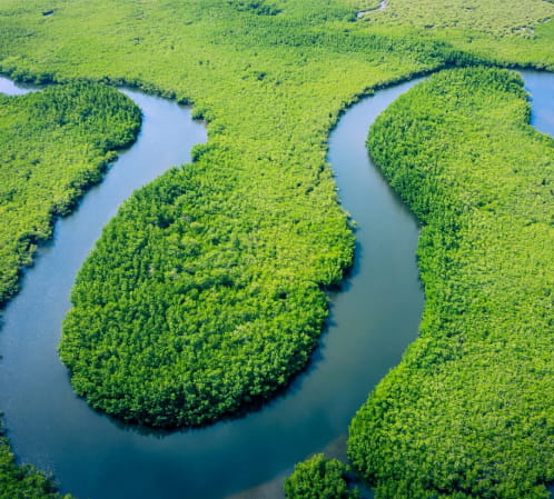 serivicio-ley-amazonia-1